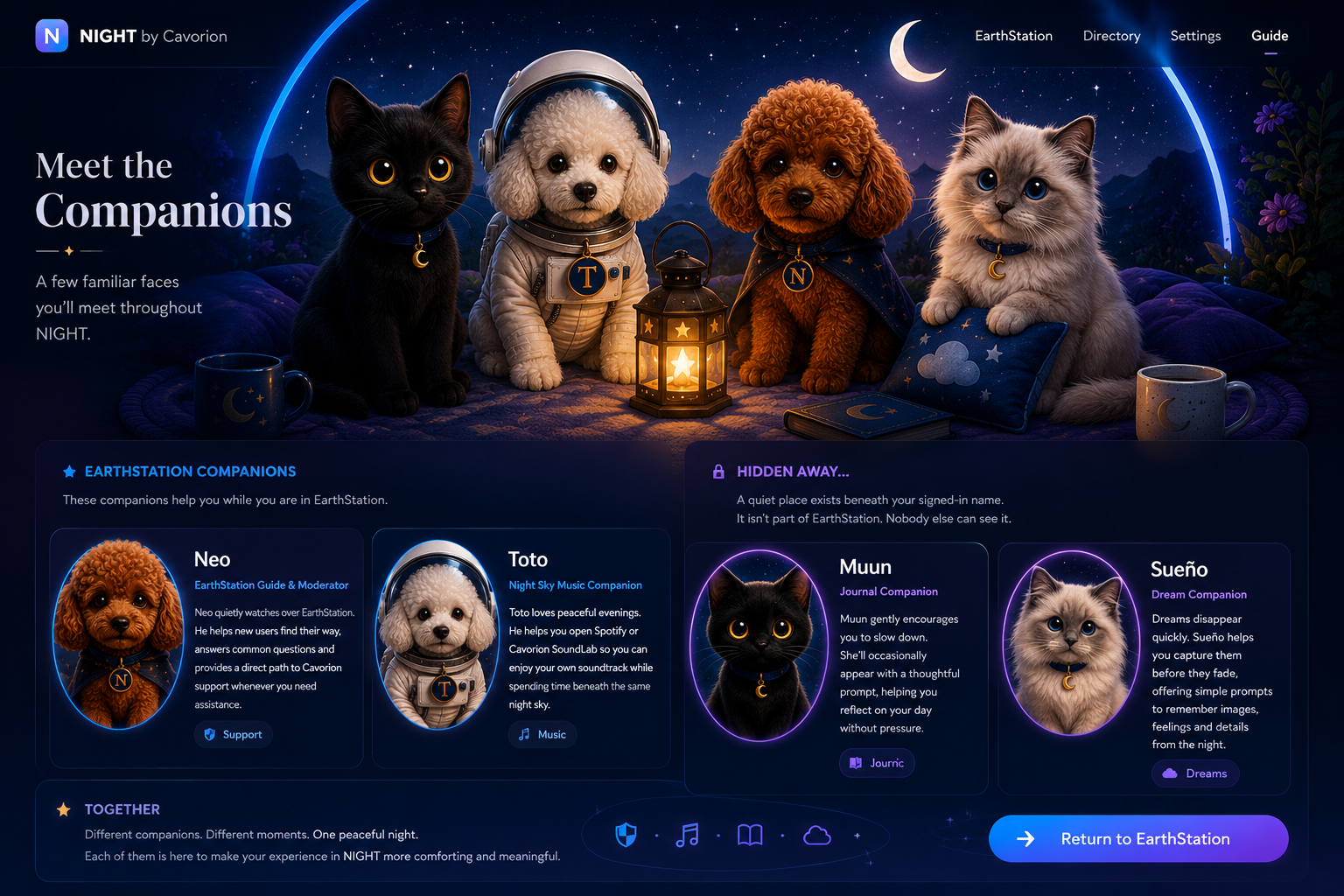 The NIGHT companions together